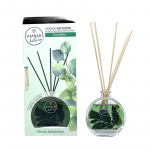 Pack de 10 : Mikado infusion botanique - Eucalyptus – Image 3