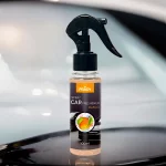 Lot de 12 (soit 1,45€ pièce) : Spray d'Ambiance Parfumé Voiture 100ml - MANGUE - Prady – Image 2