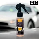 Lot de 12 (soit 1,45€ pièce) : Spray d'Ambiance Parfumé Voiture 100ml - MANGUE - Prady