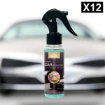 Lot de 12 (soit 1,45€ pièce) : Spray d'Ambiance Parfumé Voiture 100ml - SPA - Prady