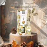 A Partir de 1,67€ Prix Dégressif : Mikado Parfumé Oriental Journey - Prady – Image 2