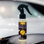 Lot de 12 (soit 1,45€ pièce) : Spray d'Ambiance Parfumé Voiture 100ml - GOLDEN MAN - Prady – Image 2