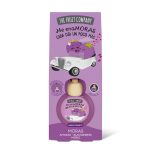Pack de 14 (soit 2,25€ pièce) : Parfum pour voiture 2 utilisations - Mûres – Image 2