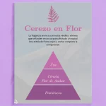 Lot de 4 (soit 1,50€ pièce) : Parfum de voiture à suspendre Fleur de Cerisier - AMBAR ZEN – Image 2